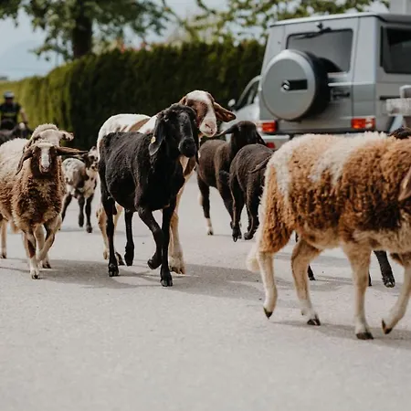 Apriessnig * Furnitz