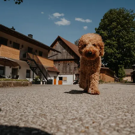 Apriessnig Апартаменты *