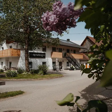 Апартаменты Apriessnig