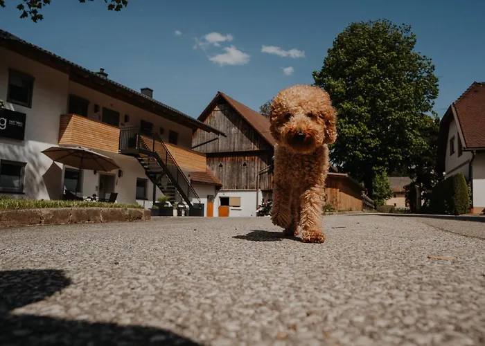 Apriessnig Апартаменты *